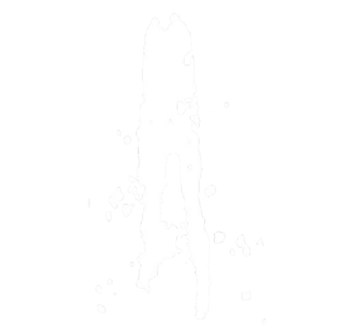 Logo icon